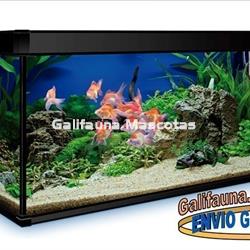 Acuario 450 litros AquaLux PRO. - Imagen 1