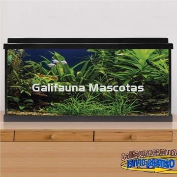 Acuario de cristal kit LITE 100 l.  "Formato más económico". - Imagen 1