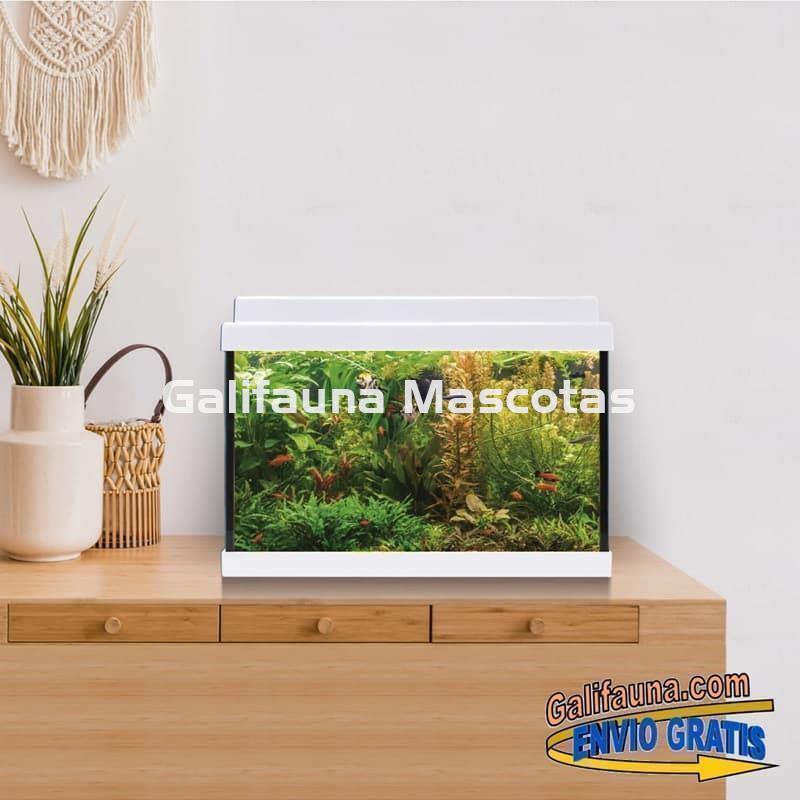 Acuario de cristal kit LITE 20 l.  "Formato más económico". - Imagen 1