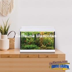 Acuario de cristal kit LITE 20 l.  "Formato más económico". - Imagen 1