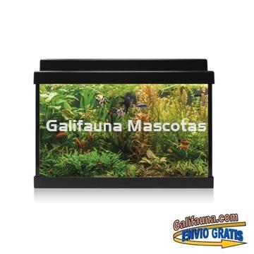 Acuario de cristal kit LITE 20 l.  "Formato más económico". - Imagen 2