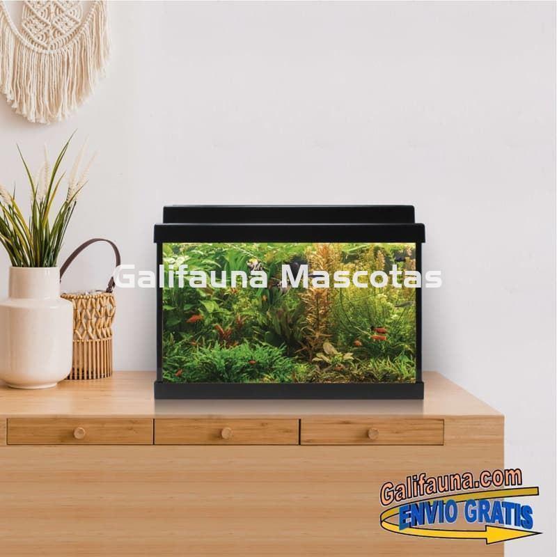 Acuario de cristal kit LITE 20 l.  "Formato más económico". - Imagen 3
