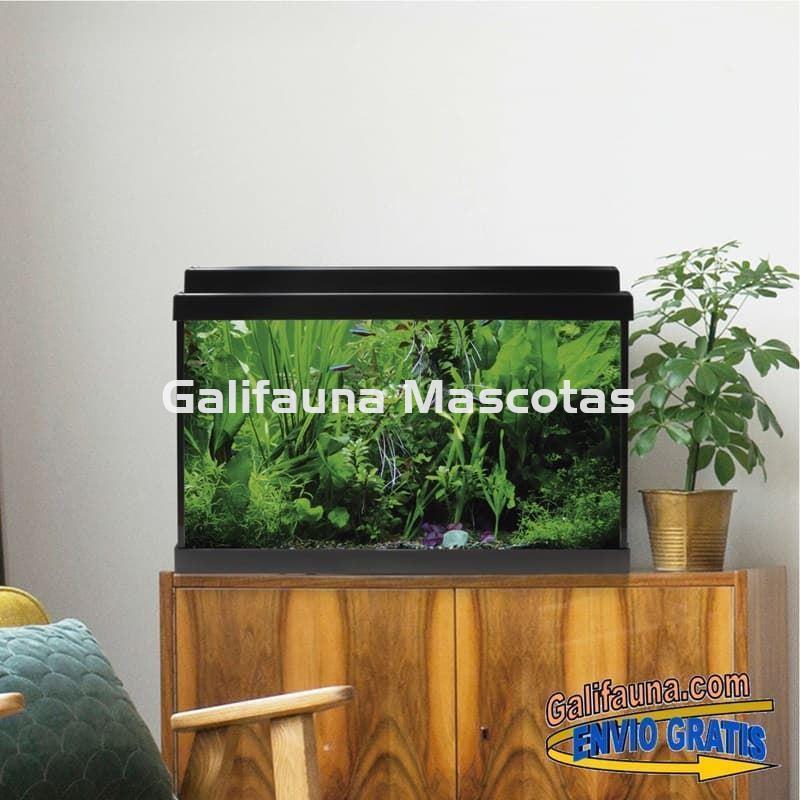 Acuario de cristal kit LITE 33 l.  "Formato más económico". - Imagen 1