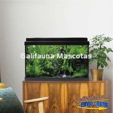 Acuario de cristal kit LITE 33 l.  "Formato más económico". - Imagen 1