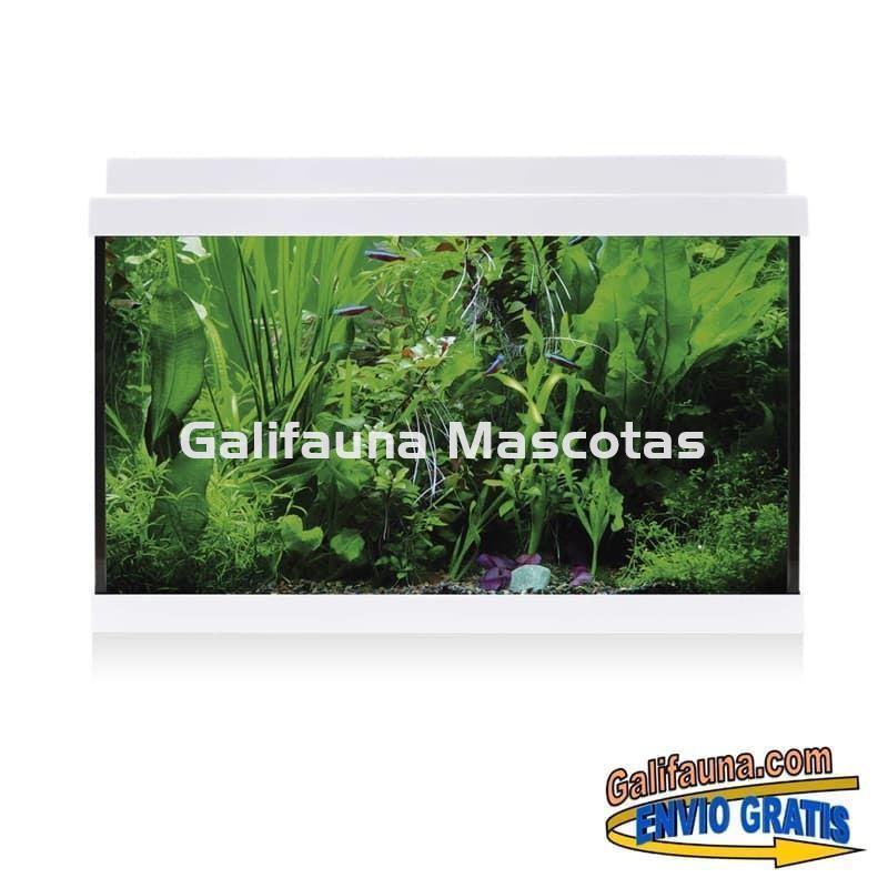 Acuario de cristal kit LITE 33 l.  "Formato más económico". - Imagen 2