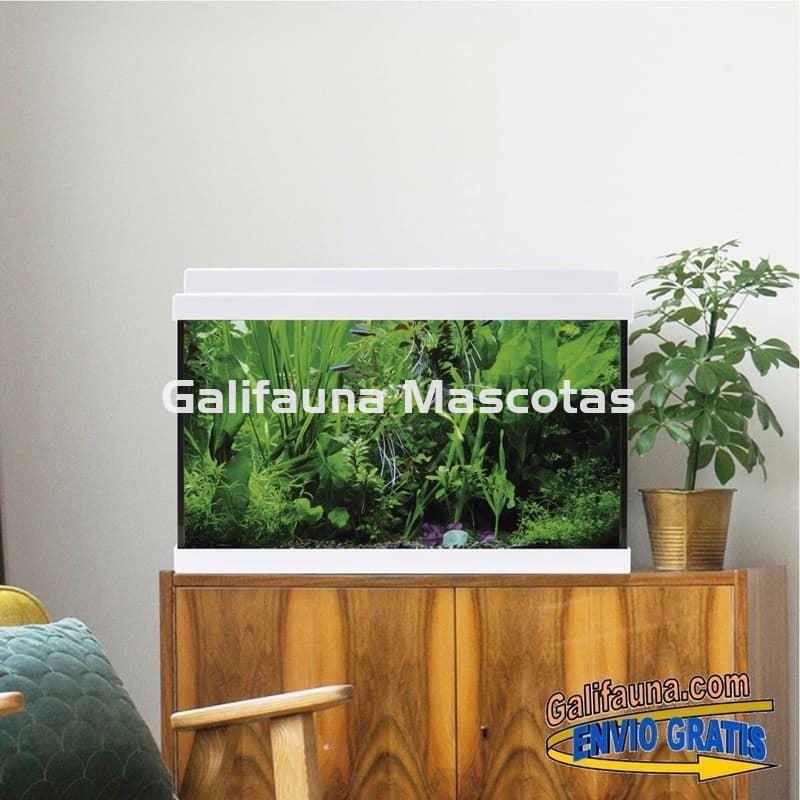 Acuario de cristal kit LITE 33 l.  "Formato más económico". - Imagen 3