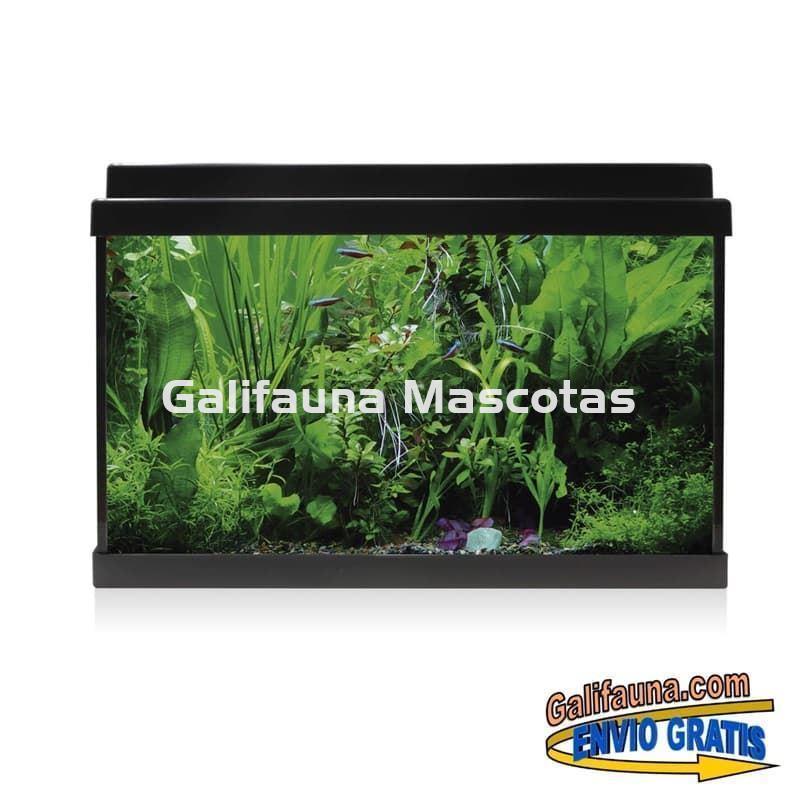 Acuario de cristal kit LITE 33 l.  "Formato más económico". - Imagen 4
