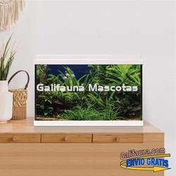 Acuario de cristal kit LITE 64 l.  "Formato más económico". - Imagen 1