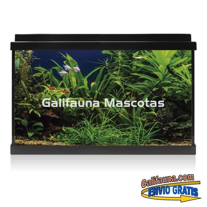 Acuario de cristal kit LITE 64 l.  "Formato más económico". - Imagen 2