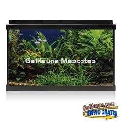 Acuario de cristal kit LITE 64 l.  "Formato más económico". - Imagen 2