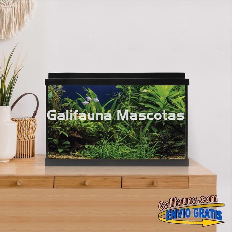 Acuario de cristal kit LITE 64 l.  "Formato más económico". - Imagen 3