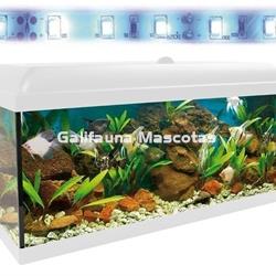 Acuario kit 100 Litros. Con luz azul. Efecto luz de luna. - Imagen 2