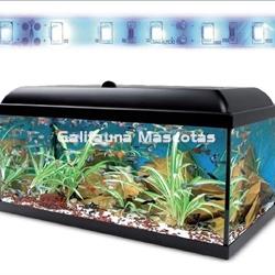 Acuario kit 130 Litros. Con luz azul. Efecto luz de luna. - Imagen 2