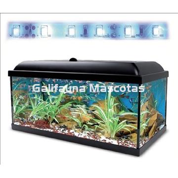 Acuario kit 130 Litros. Con luz azul. Efecto luz de luna. - Imagen 2