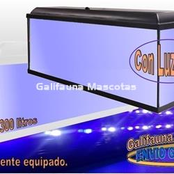 Acuario kit 300 Litros. Con luz azul. Efecto luz de luna. - Imagen 1