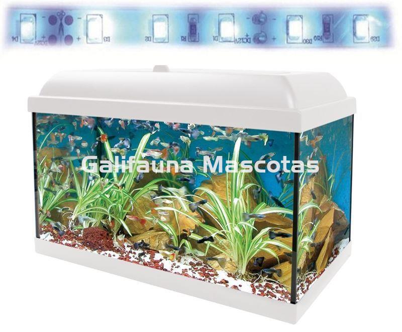 Acuario kit  45 Litros. Con luz azul. Efecto luz de luna. - Imagen 2