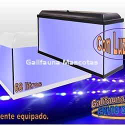 Acuario kit  68 Litros. Con luz azul. Efecto luz de luna. - Imagen 1