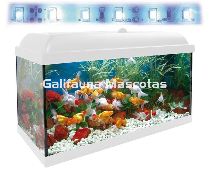 Acuario kit  68 Litros. Con luz azul. Efecto luz de luna. - Imagen 2