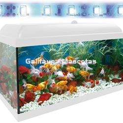 Acuario kit  68 Litros. Con luz azul. Efecto luz de luna. - Imagen 2