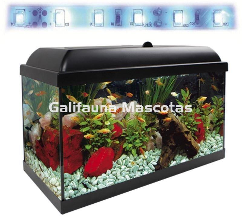 Acuario kit  68 Litros. Con luz azul. Efecto luz de luna. - Imagen 3