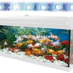 Acuario kit Aqualed 130 Litros. Filtro Optimus o Biopower. - Imagen 2