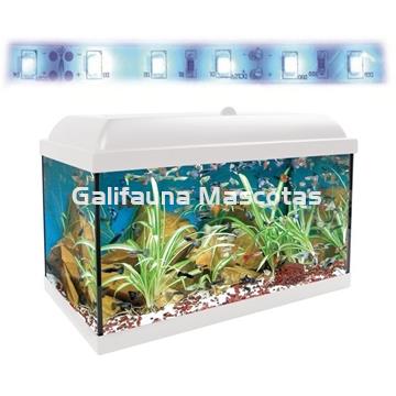 Acuario kit Aqualed 25 Litros. Filtro interior. - Imagen 1