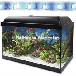 Acuario kit Aqualed 45 Litros. Filtro interior. - Imagen 2