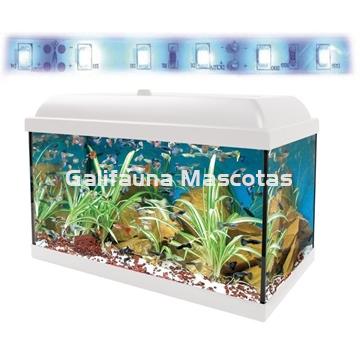 Acuario kit Aqualed 68 Litros. Filtro interior. - Imagen 1