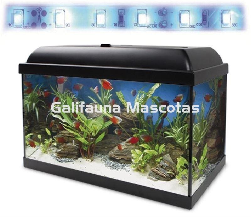 Acuario kit Aqualed 68 Litros. Filtro interior. - Imagen 2