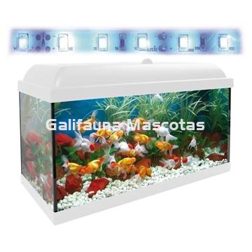 Acuario kit Aqualed 68 Litros. Filtro Optimus - Imagen 1