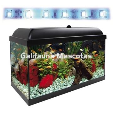 Acuario kit Aqualed 68 Litros. Filtro Optimus - Imagen 2