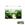 Acuario kit AQUALIGHT GLASS 40.  "Vive el mundo del aquascape". - Imagen 1