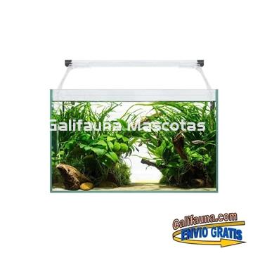 Acuario kit AQUALIGHT GLASS 40.  "Vive el mundo del aquascape". - Imagen 1