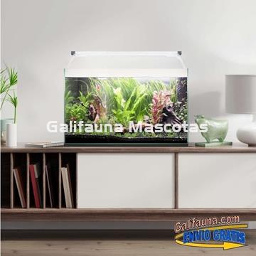 Acuario kit AQUALIGHT GLASS 40.  "Vive el mundo del aquascape". - Imagen 2