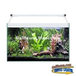 Acuario kit AQUALIGHT GLASS 50.  "Vive el mundo del aquascape". - Imagen 1