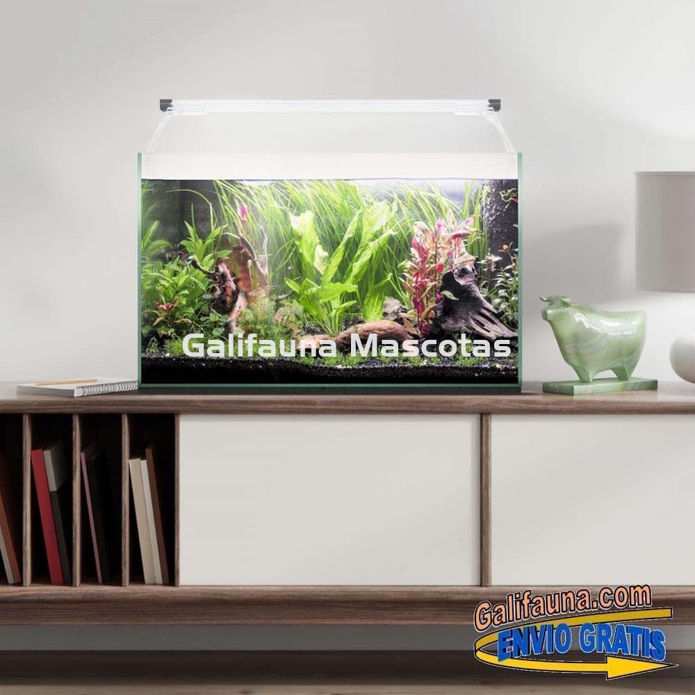 Acuario kit AQUALIGHT GLASS 50.  "Vive el mundo del aquascape". - Imagen 2