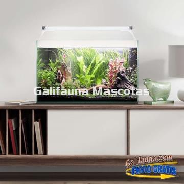 Acuario kit AQUALIGHT GLASS 50.  "Vive el mundo del aquascape". - Imagen 2