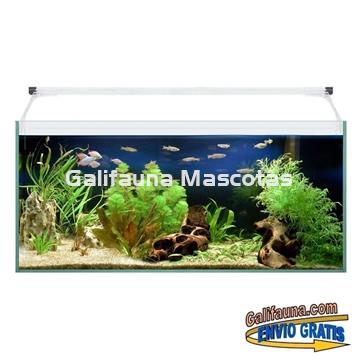 Acuario kit AQUALIGHT GLASS 70.  "Vive el mundo del aquascape". - Imagen 1