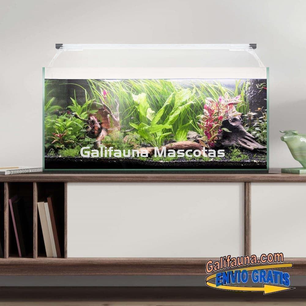 Acuario kit AQUALIGHT GLASS 70.  "Vive el mundo del aquascape". - Imagen 2