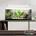 Acuario kit AQUALIGHT GLASS 70.  "Vive el mundo del aquascape". - Imagen 2