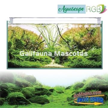 Acuario Kit AQUASCAPE RGB PRO EXTRA-CLARO 250 - Imagen 2