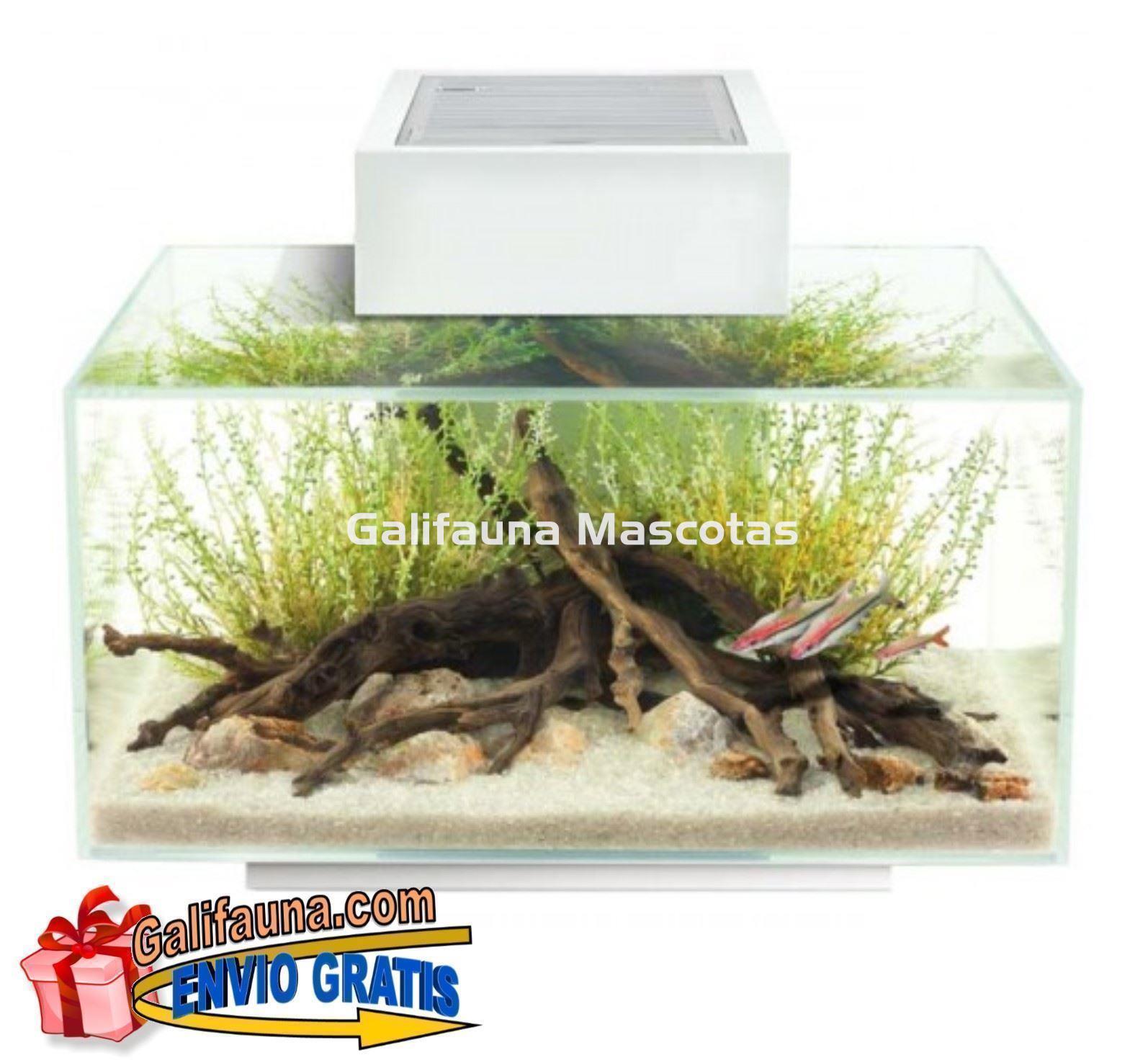 ACUARIO KIT FLUVAL EDGE 2.0.  23 litros. - Imagen 2