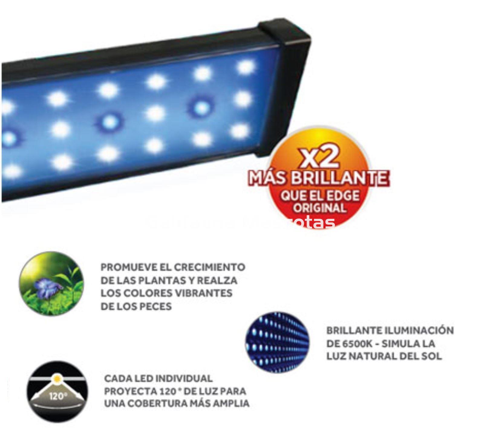 ACUARIO KIT FLUVAL EDGE 2.0.  23 litros. - Imagen 4