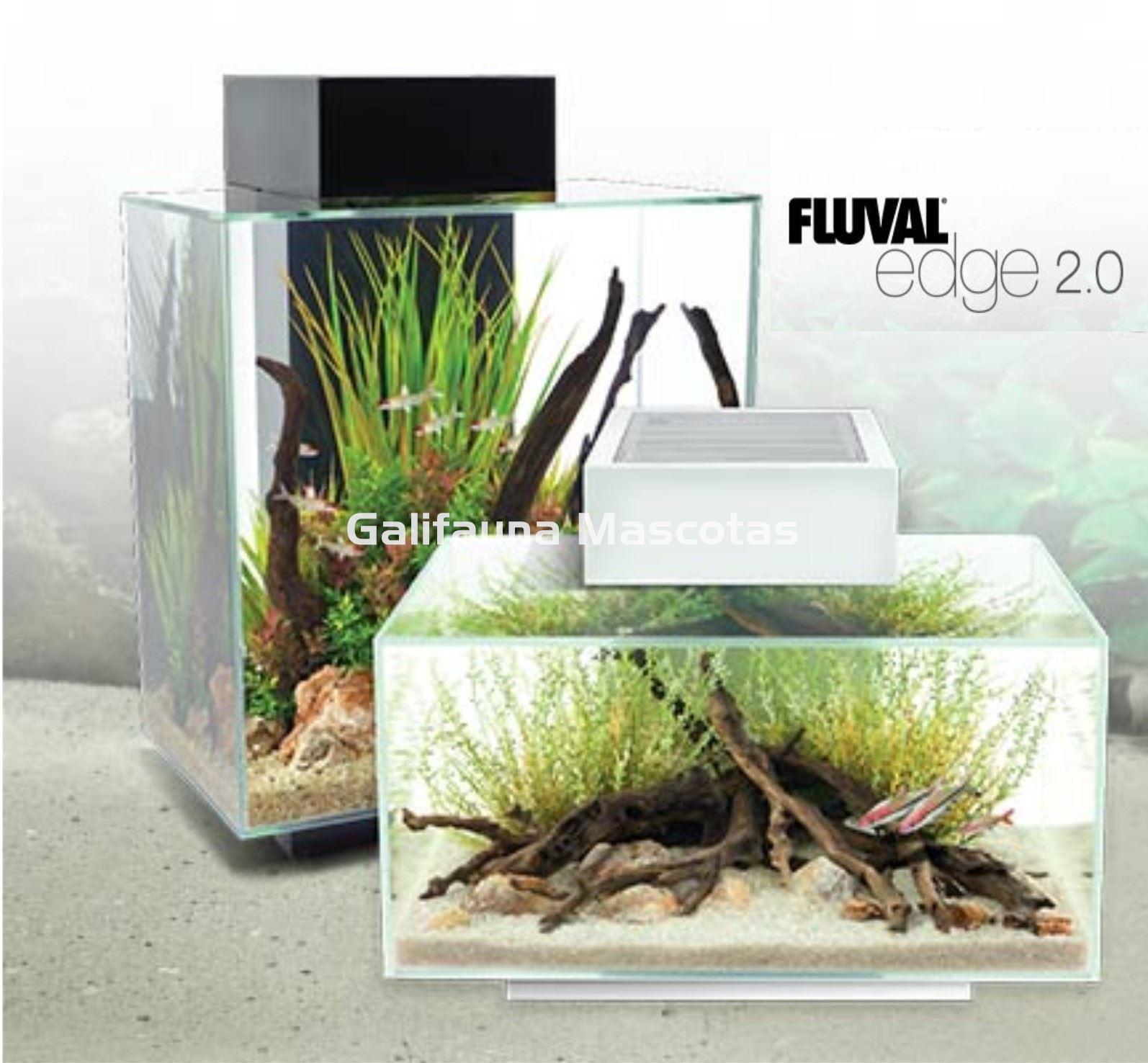 ACUARIO KIT FLUVAL EDGE 2.0.  23 litros. - Imagen 7