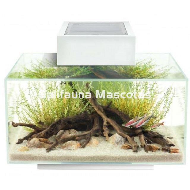 ACUARIO KIT FLUVAL EDGE 2.0.  23 litros. - Imagen 8