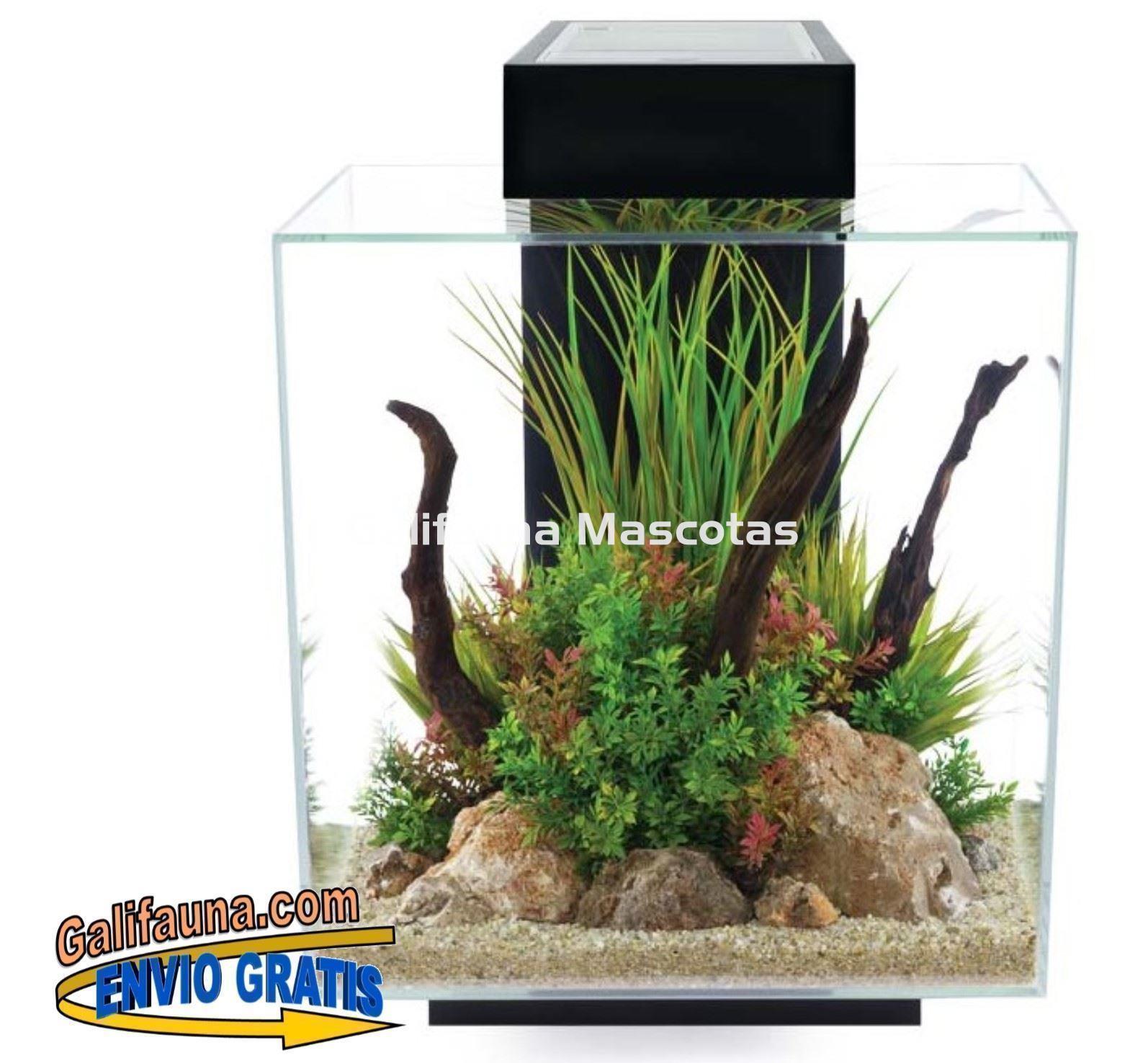 ACUARIO KIT FLUVAL EDGE 2.0.  46 litros. - Imagen 2