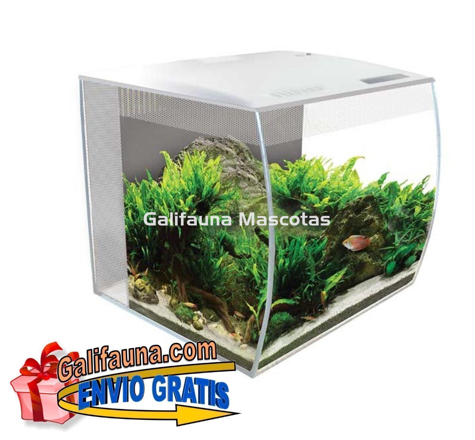ACUARIO KIT FLUVAL FLEX 34 litros.  "El diseño y la practicidad en un solo acuario." - Imagen 1