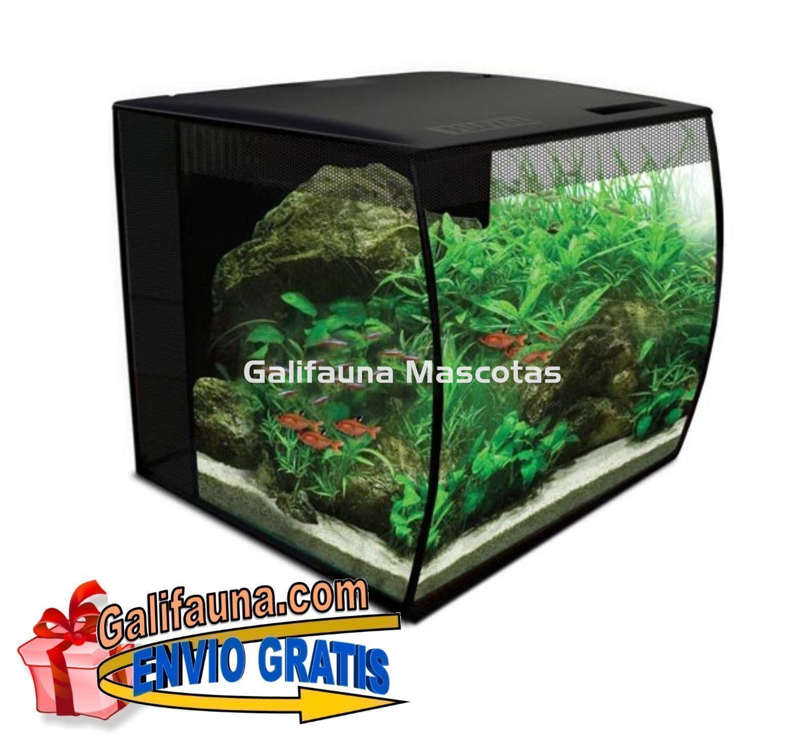 ACUARIO KIT FLUVAL FLEX 34 litros.  "El diseño y la practicidad en un solo acuario." - Imagen 3