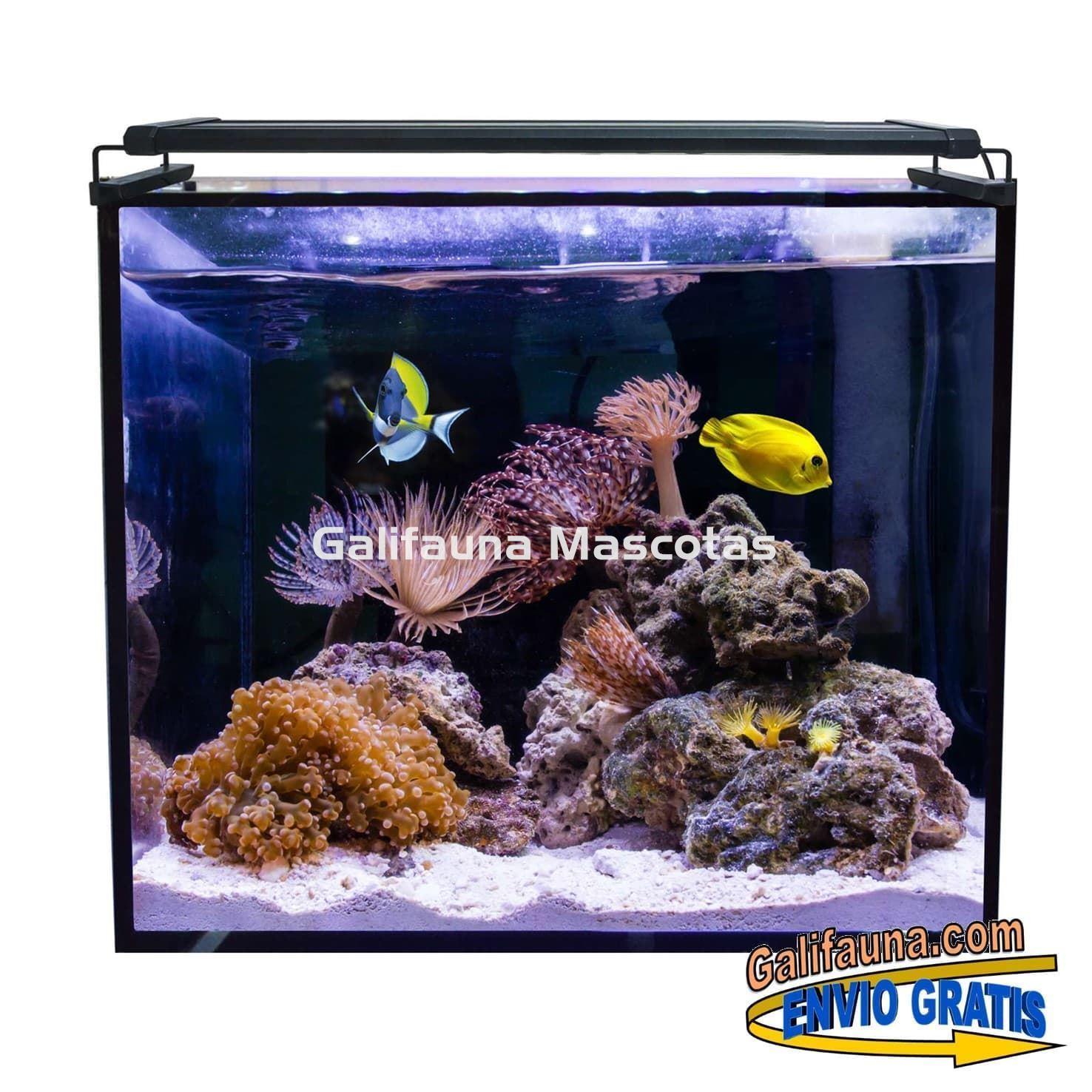 Acuario marino AQUA OCEAN HYDRA  (164 l) - Imagen 2