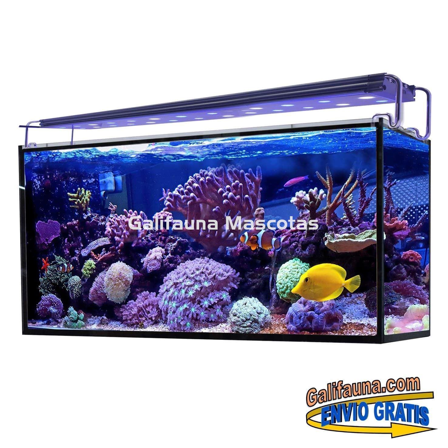 Acuario marino AQUA OCEAN HYDRA  (180 l) - Imagen 2